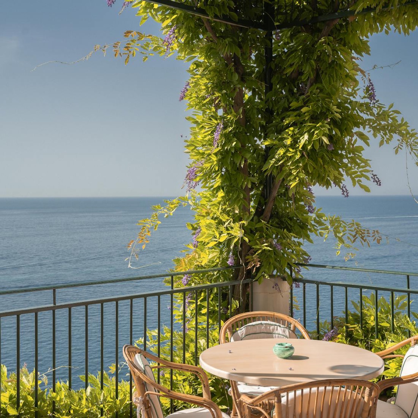 Terrasse couverte de glycine face à la mer Méditerranée